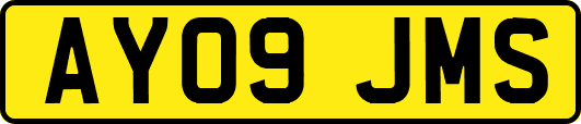 AY09JMS