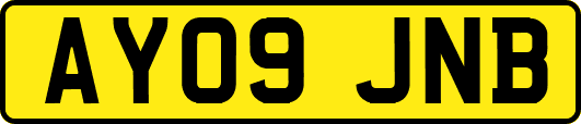 AY09JNB