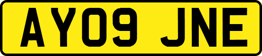 AY09JNE