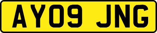 AY09JNG
