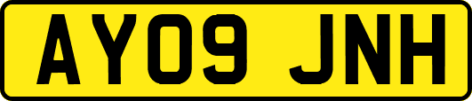 AY09JNH
