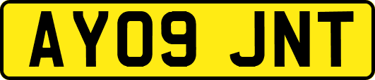 AY09JNT