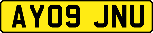 AY09JNU
