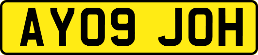 AY09JOH