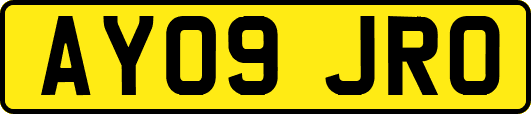AY09JRO