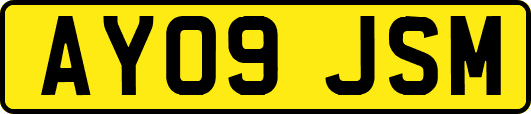 AY09JSM