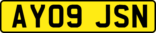 AY09JSN