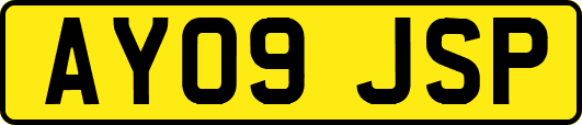 AY09JSP
