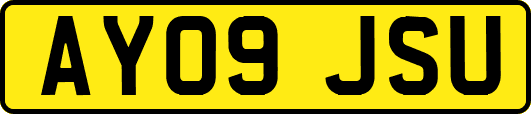 AY09JSU