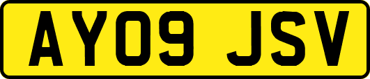 AY09JSV