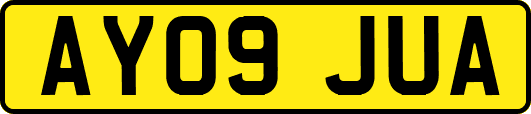 AY09JUA