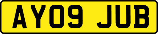 AY09JUB