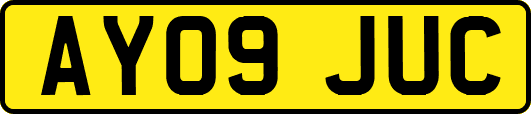 AY09JUC