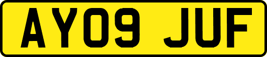 AY09JUF