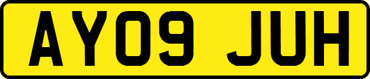 AY09JUH