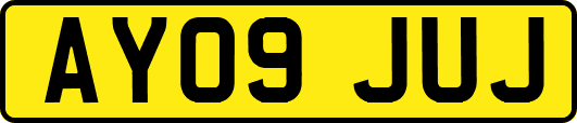 AY09JUJ