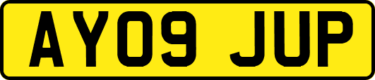 AY09JUP