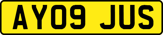 AY09JUS