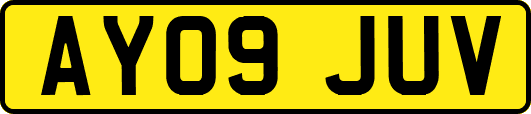 AY09JUV