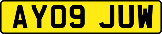 AY09JUW