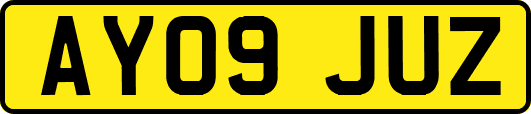 AY09JUZ
