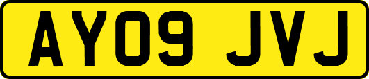 AY09JVJ