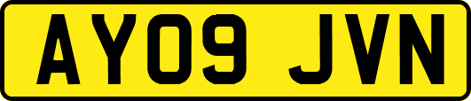 AY09JVN