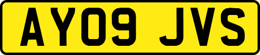 AY09JVS