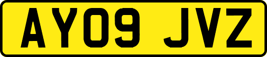 AY09JVZ