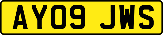 AY09JWS