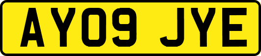 AY09JYE