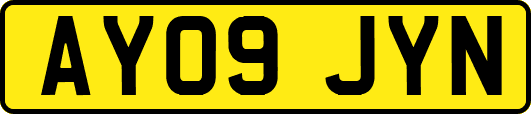 AY09JYN