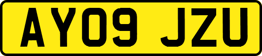 AY09JZU