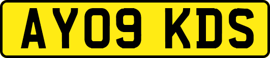 AY09KDS