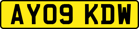 AY09KDW