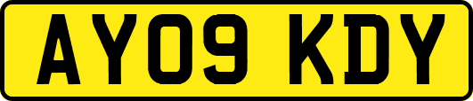 AY09KDY