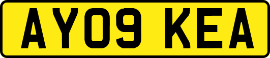 AY09KEA