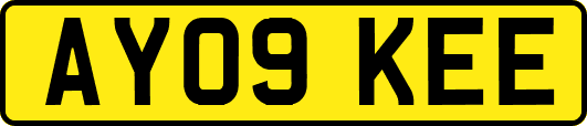 AY09KEE