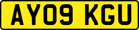 AY09KGU