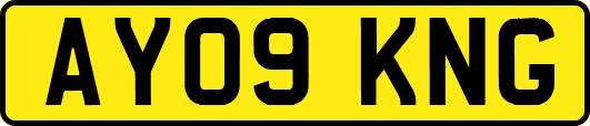 AY09KNG
