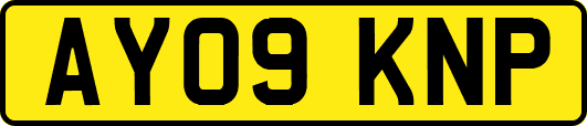 AY09KNP