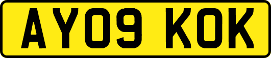 AY09KOK