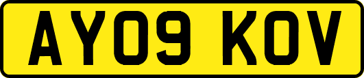 AY09KOV