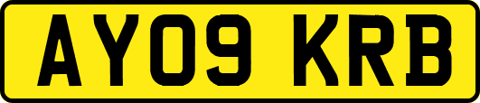 AY09KRB