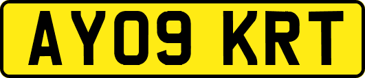 AY09KRT