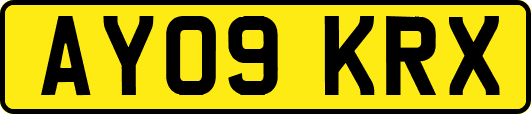 AY09KRX