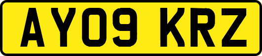 AY09KRZ