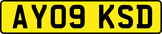 AY09KSD