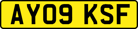 AY09KSF