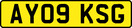 AY09KSG